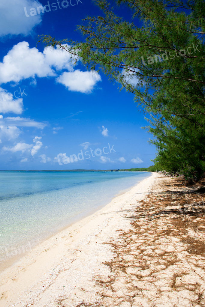 Ten Bay Beach, Eleuthera, Bahamas landstock